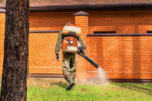 Trusted Bed Bug Control service in North Bend, NE - Nex Pest Control